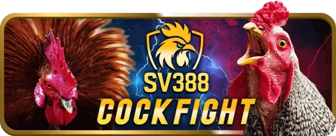 Vòng quay miễn phí slot game