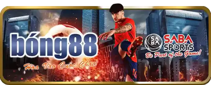 Tối ưu hóa ứng dụng di động 8888vnd đăng ký